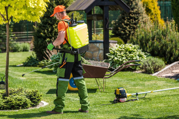 Best Fumigation Services  in Glenwood Springs, CO